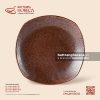 Đĩa vuông ảo - Huyết Mộc