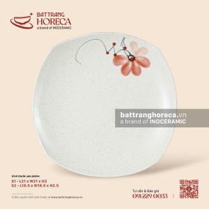 Đĩa vuông ảo – Hoa Ban