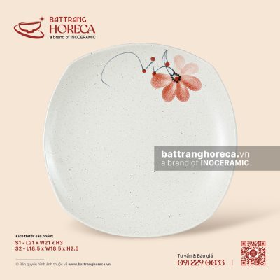 Đĩa vuông ảo – Hoa Ban – Men tấm