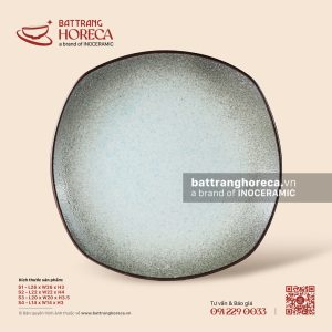 Đĩa vuông ảo - Băng Dạ - Men hoả biến