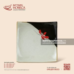 Đĩa vuông vếch - Hạ Liên