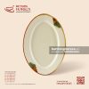 Đĩa bầu dục (oval) - Hoàng Diệp