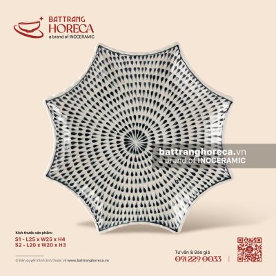 Đĩa sao – Loang – Men ngà