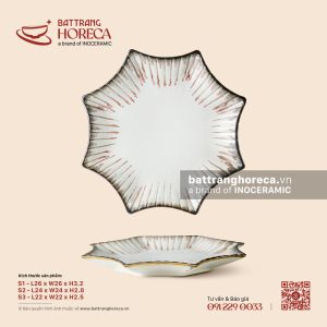 Đĩa sao 22cm - Bạch Diêm