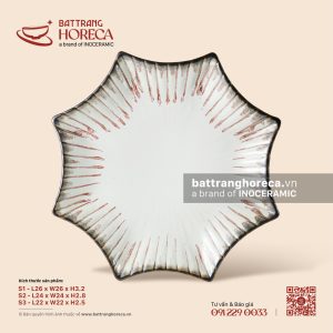 Đĩa sao 22cm - Bạch Diêm