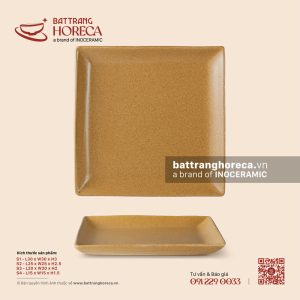 Đĩa vuông – Hoàng Sa – Men tấm