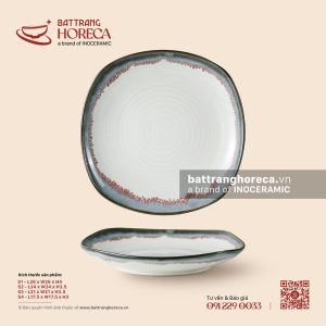 Đĩa vuông ảo - Bạch Diêm