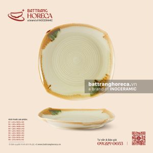 Đĩa vuông ảo – Hoàng Diệp – Men hoả biến