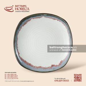 Đĩa vuông ảo - Bạch Diêm