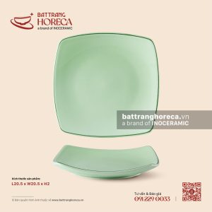 Đĩa vuông ảo 20.5cm - Lục Băng