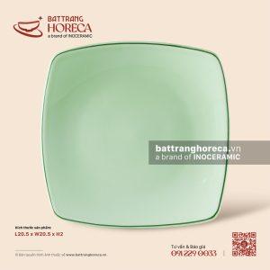 Đĩa vuông ảo 20.5cm - Lục Băng