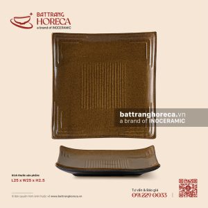 Đĩa vuông vênh 25cm - Ô Thổ - Men tấm