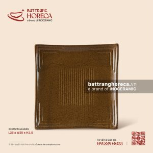 Đĩa vuông vênh 25cm - Ô Thổ - Men tấm