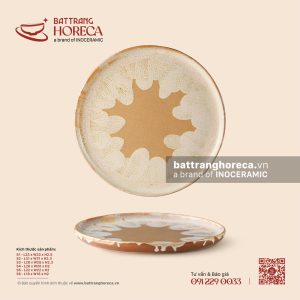 Đĩa tròn phẳng (pizza) - Hồng Vân
