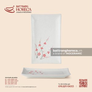 Đĩa chữ nhật ảo - Đào Hồng