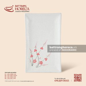 Đĩa chữ nhật ảo - Đào Hồng