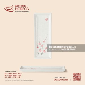 Đĩa chữ nhật dài - Đào Hồng