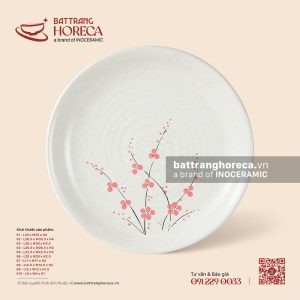 Đĩa tròn - Đào Hồng