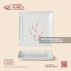 Đĩa vuông - Đào Hồng