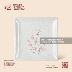 Đĩa vuông - Đào Hồng
