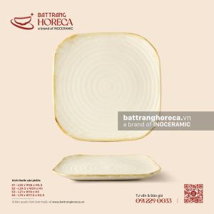 Đĩa vuông ảo - Mộc Sa
