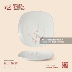 Đĩa vuông ảo - Đào Hồng