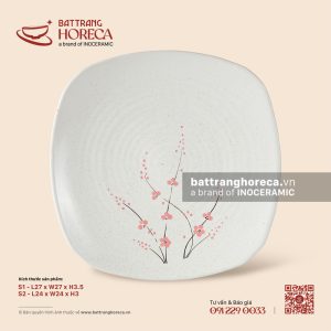 Đĩa vuông ảo - Đào Hồng
