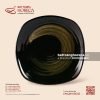 Đĩa vuông ảo - Huyền Sa