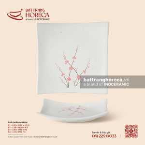 Đĩa vuông vếch - Đào Hồng