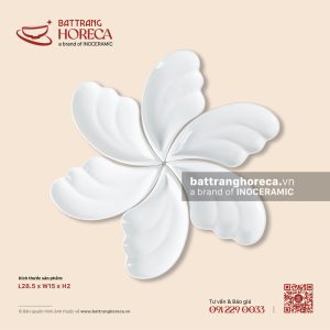 Bộ 6 đĩa cánh tiên 56cm - Minh Nguyệt