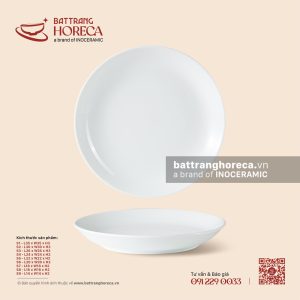Đĩa tròn ảo - Minh Nguyệt