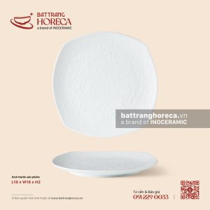 Đĩa vuông ảo 18cm - Minh Nguyệt