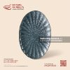 Đĩa bầu dục (oval) múi - Tinh Vũ