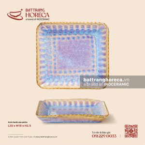 Đĩa bích quy 20 x 18cm - Tuyết Hồng