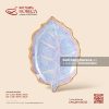 Đĩa lá bỏng - Tuyết Hồng