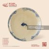 Đĩa tròn ảo - Chép Lam