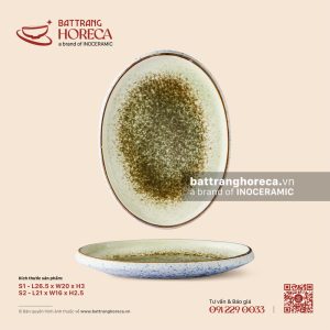 Đĩa bầu dục gờ - Rêu Phong