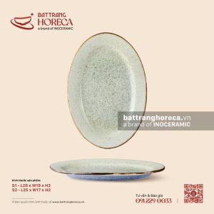 Đĩa bầu dục lá - Rêu Phong
