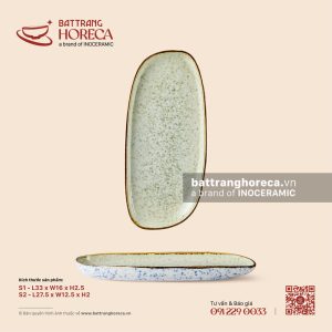Đĩa bầu dục lệch - Rêu Phong