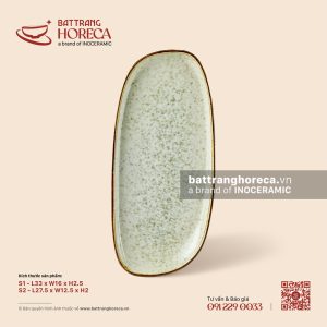 Đĩa bầu dục lệch - Rêu Phong