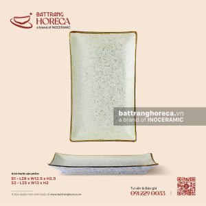 Đĩa chữ nhật ảo - Rêu Phong