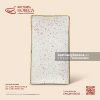 Đĩa chữ nhật ảo - Ngọc Thạch