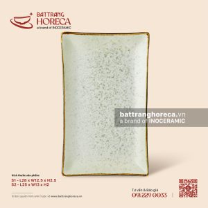 Đĩa chữ nhật ảo - Rêu Phong