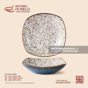 Đĩa vuông ảo sâu lòng - Ngọc Thạch