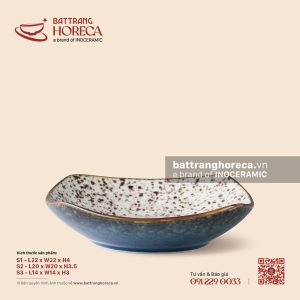 Đĩa vuông ảo sâu lòng - Ngọc Thạch