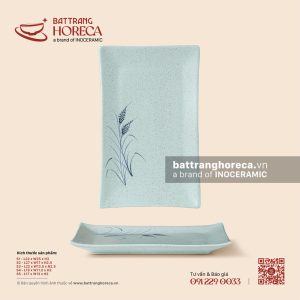 Khay chữ nhật ảo - Bông Lau